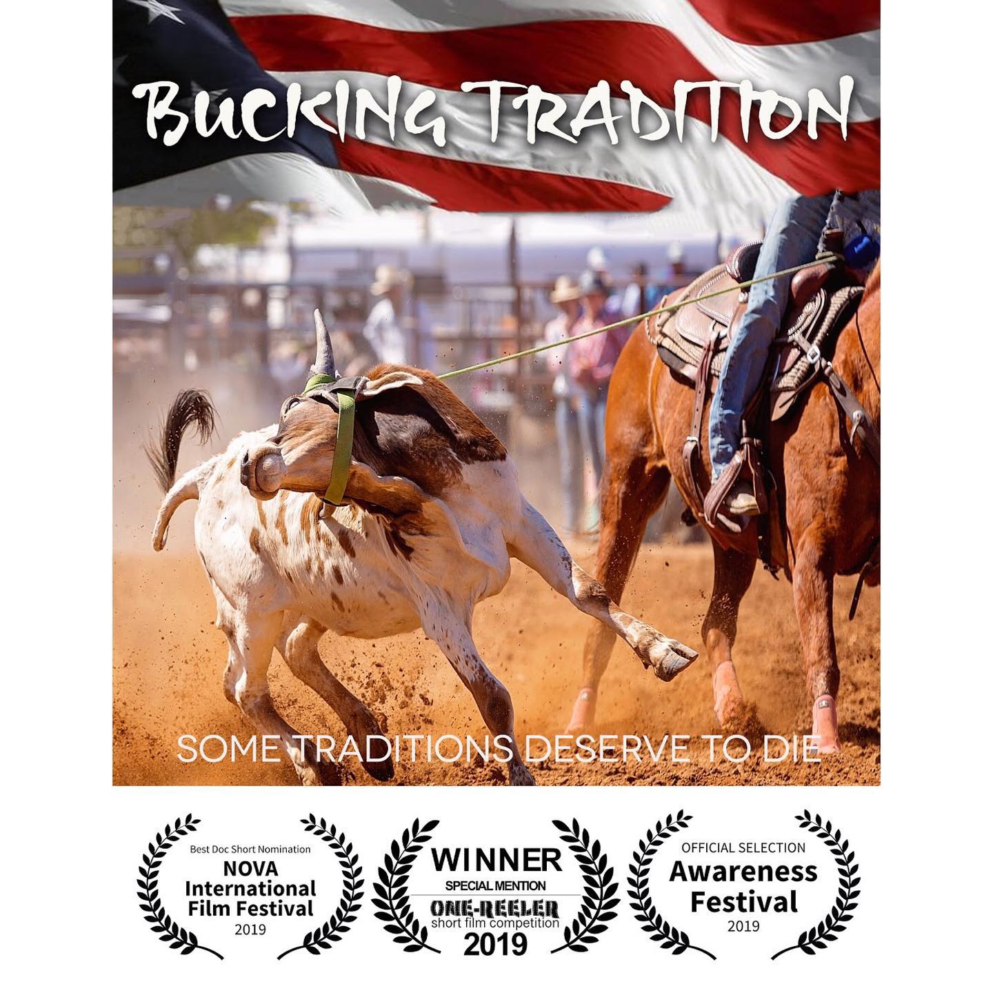 Richmond rodeo - Help BAN RODEO in NZ