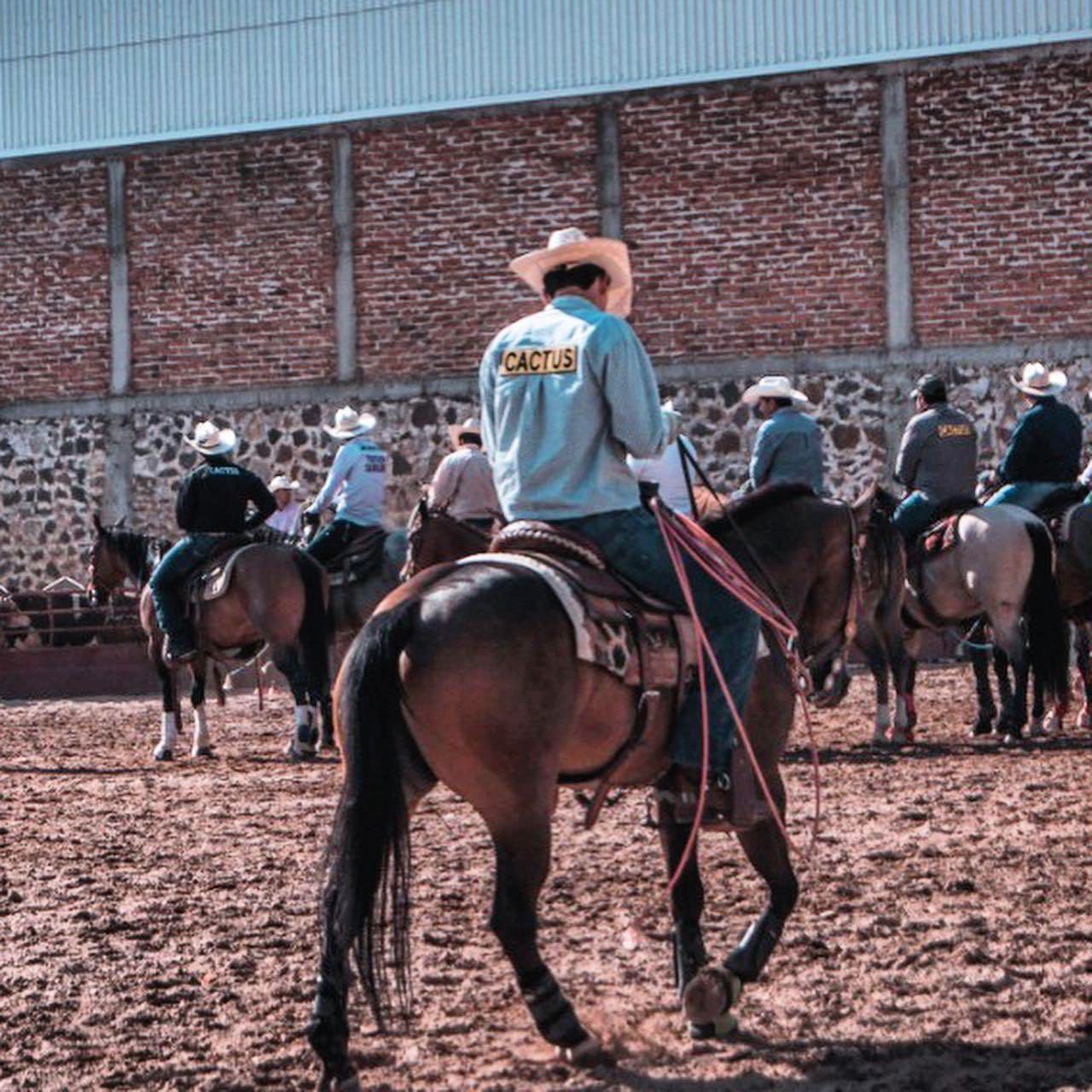 Cactus Ropes Mexico - Somos más que un equipo, una familia #TeamCactus🌵 ...