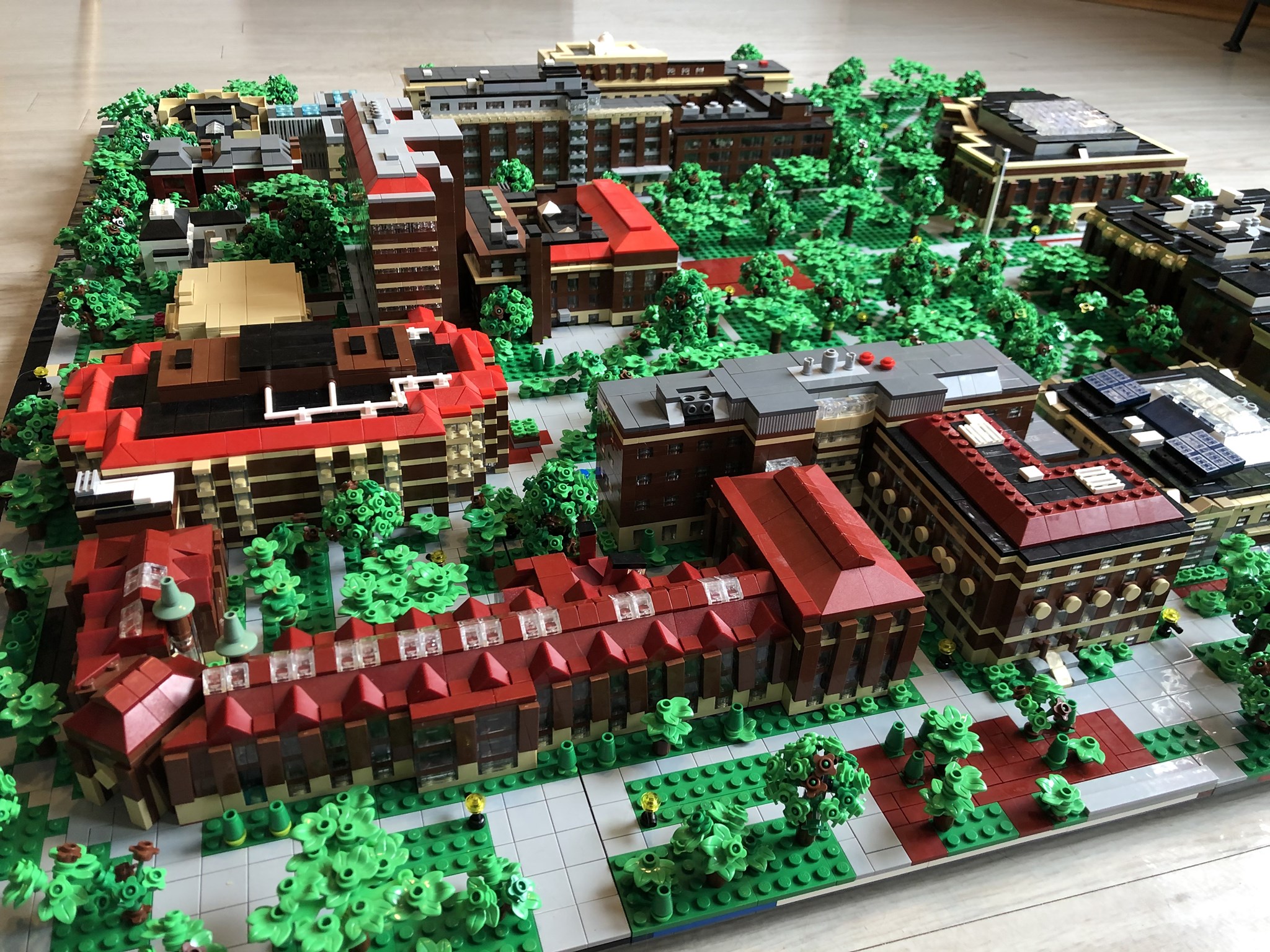 The Hatcher and Shapiro... - University of Michigan Library