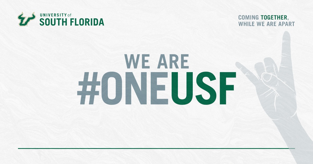 The foundation of USF is the... - USF College of Nursing