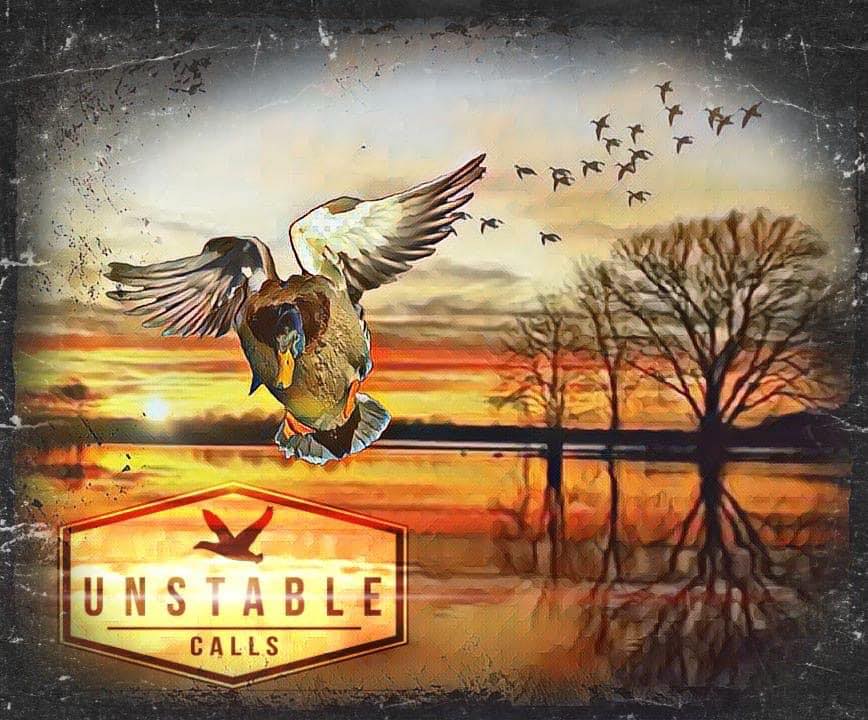 Unstable Calls Duck Blind
