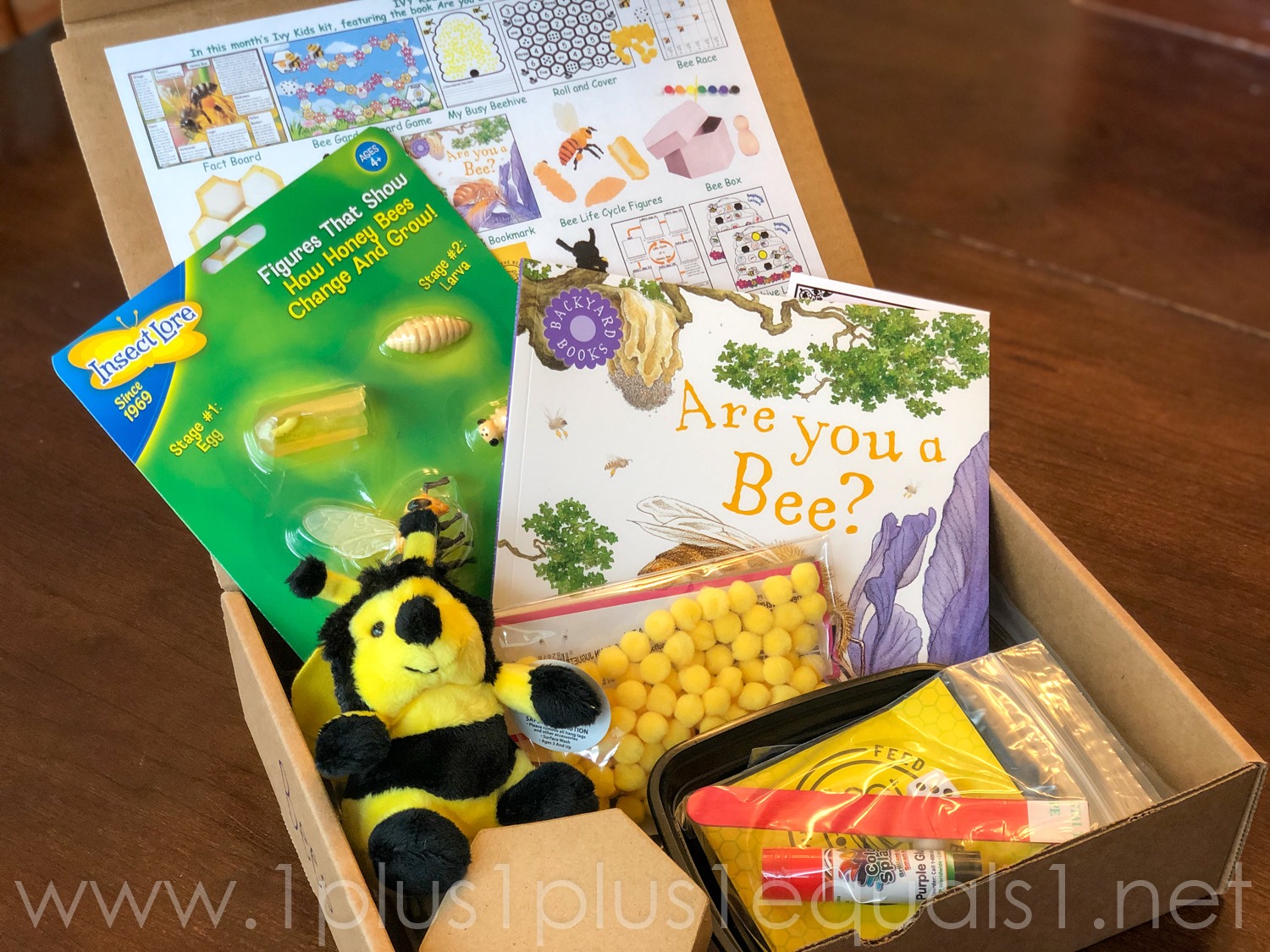 1+1+1=1 - Exploring BEES was so much fun with our Ivy kids... | Facebook