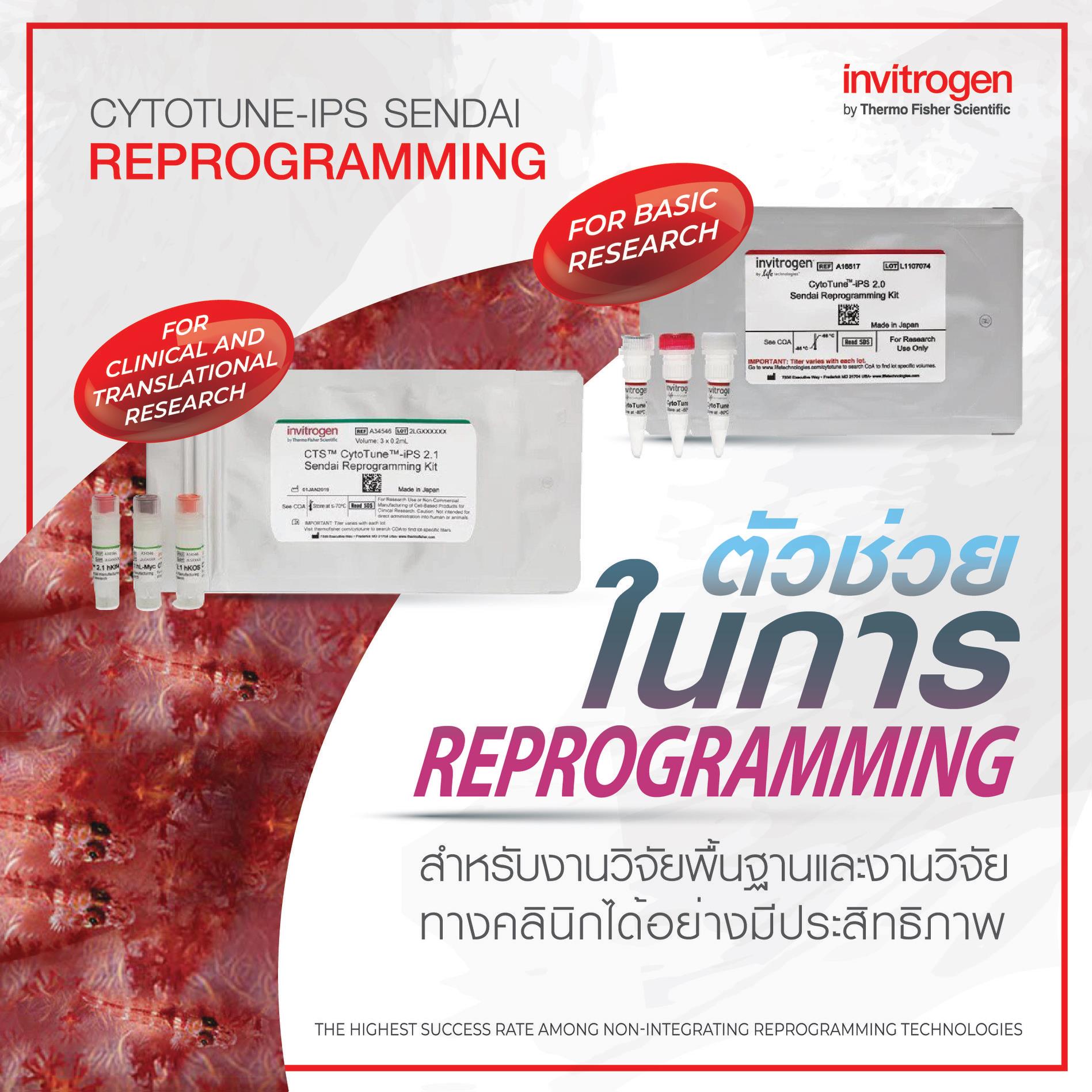 Gibthai Fan - 💁‍♀️CytoTuneTM-iPS Reprogramming... | Facebook