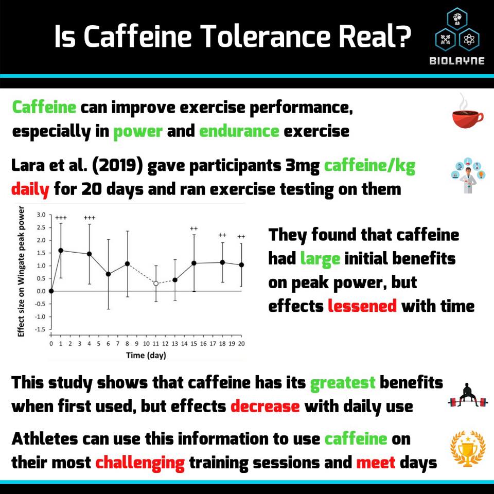Layne Norton The Science Of Caffeine Tolerance Facebook