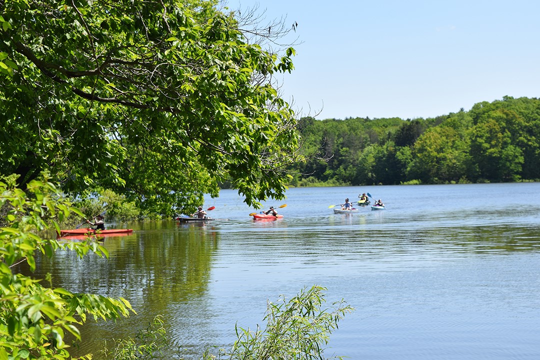 Geauga Park District - Update: Claridon Woodlands' high rope course and ...