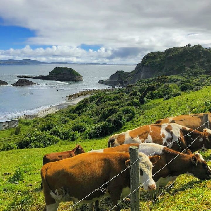 🌿 Encanto e identidad rural de Chiloé 🌿... - Turismo en Chile