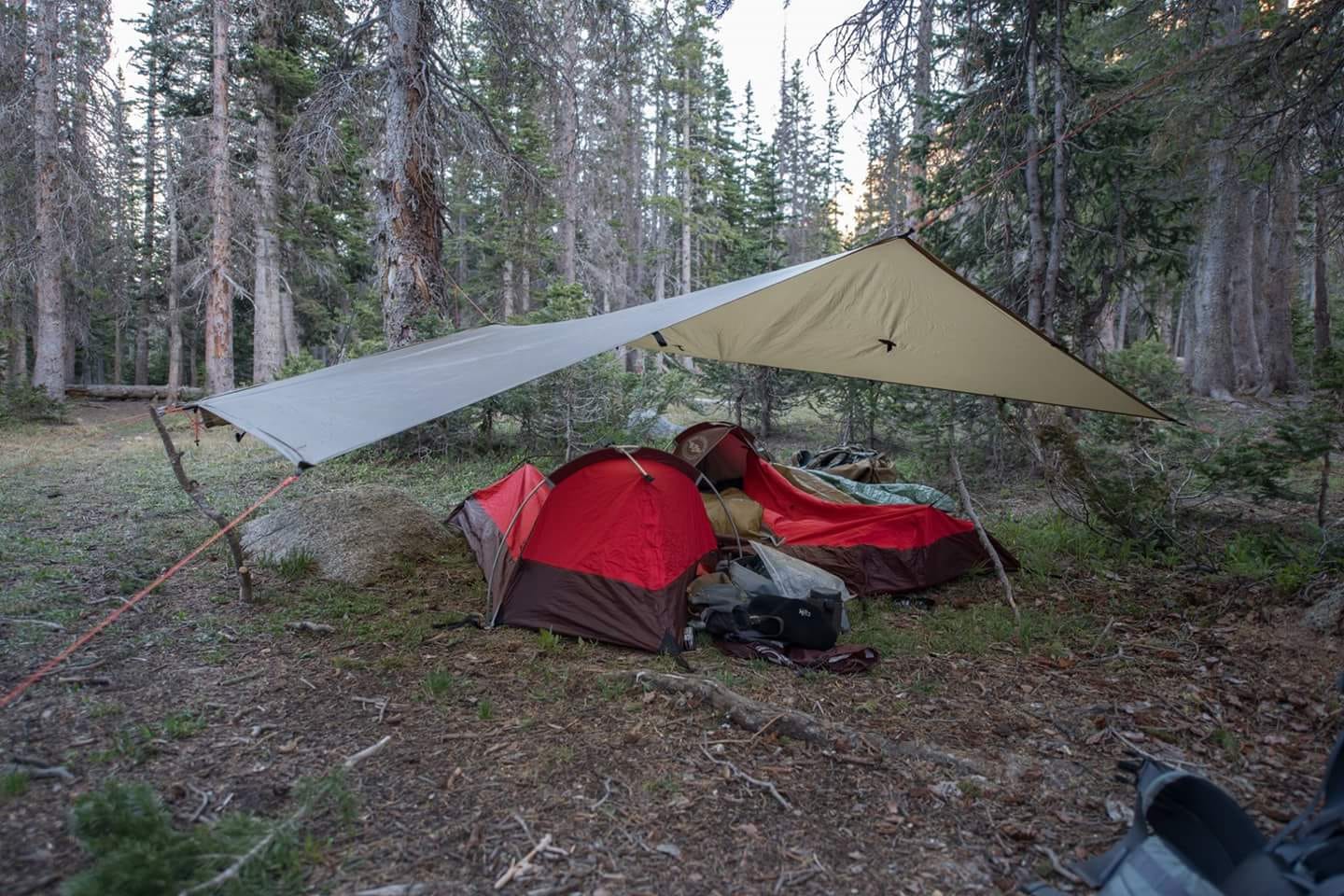 easy assemble tent 3-4 Person Pop Up for Camping with Skylight Waterproof Pop Up Tents Tents-Accessories & With the CLAM Quick Bitte beachten Sie Glanz oder Matt:Perlmuttrosa-C Human Gear Animato Pedal