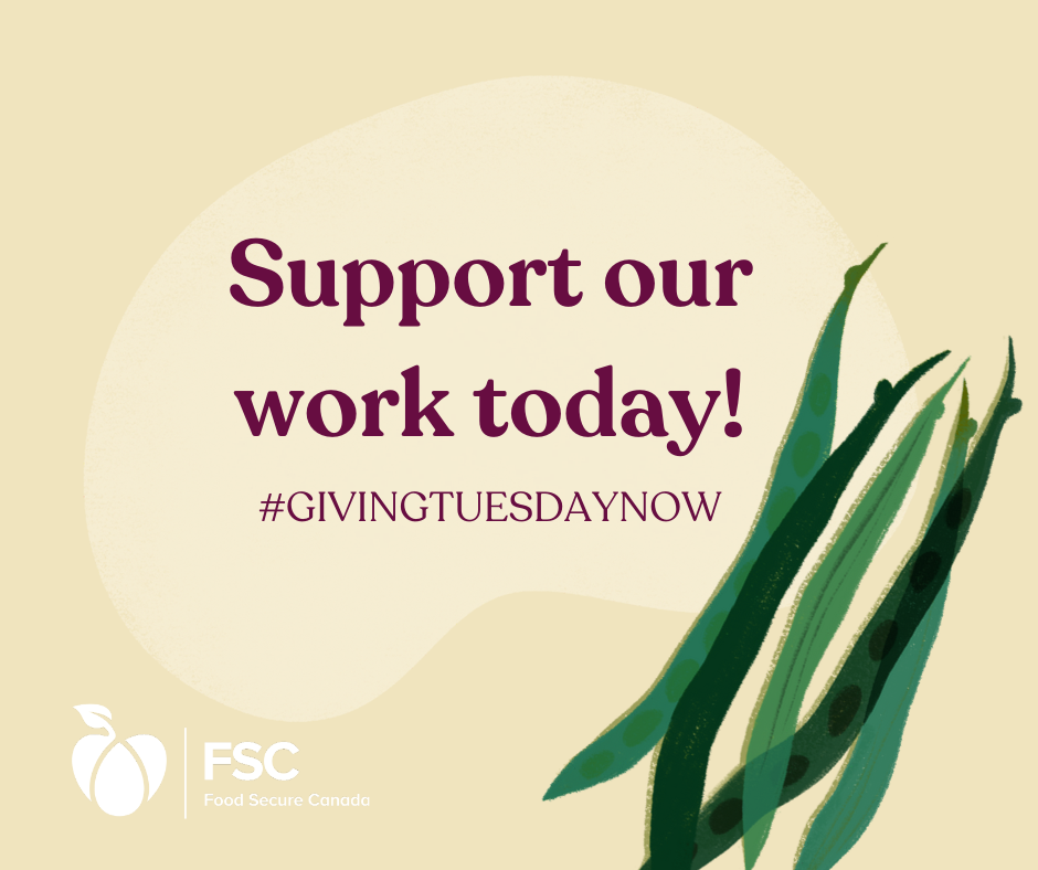 Food Secure Canada This Givingtuesdaynow Donate To Food Secure Canada And Support Advocacy For A Healthy Sustainable And Just Food System Donations To Our Partner Organization The People S Food Institute May