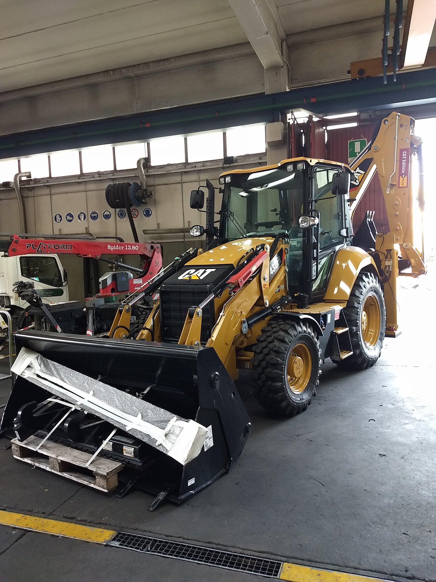 The Cat Rental Store