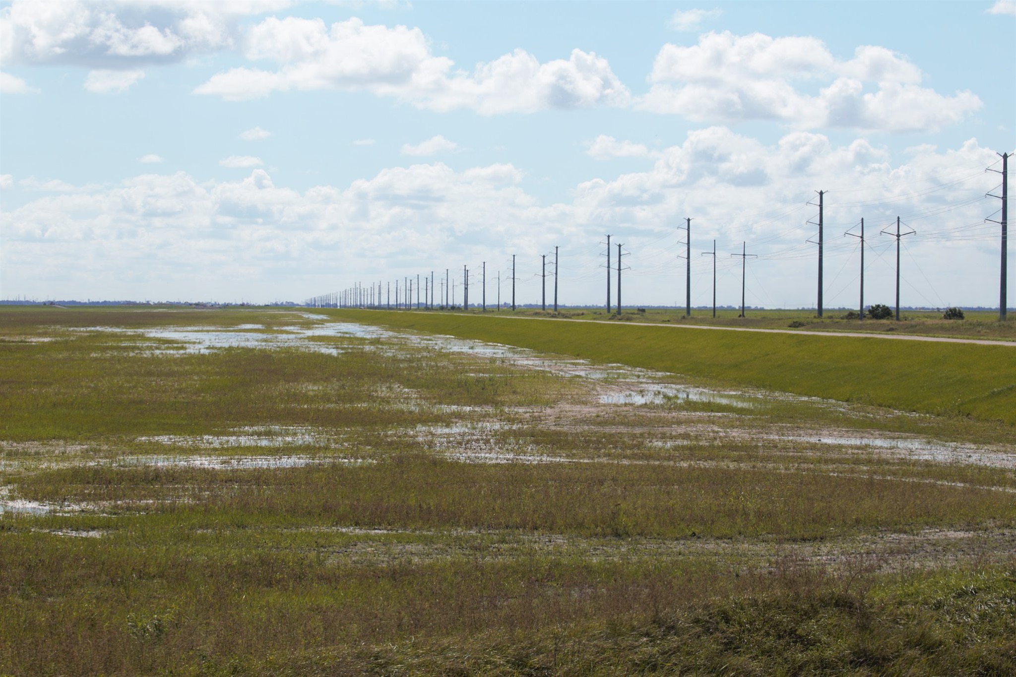 Southeast Florida Water... - Florida Sportsman Magazine
