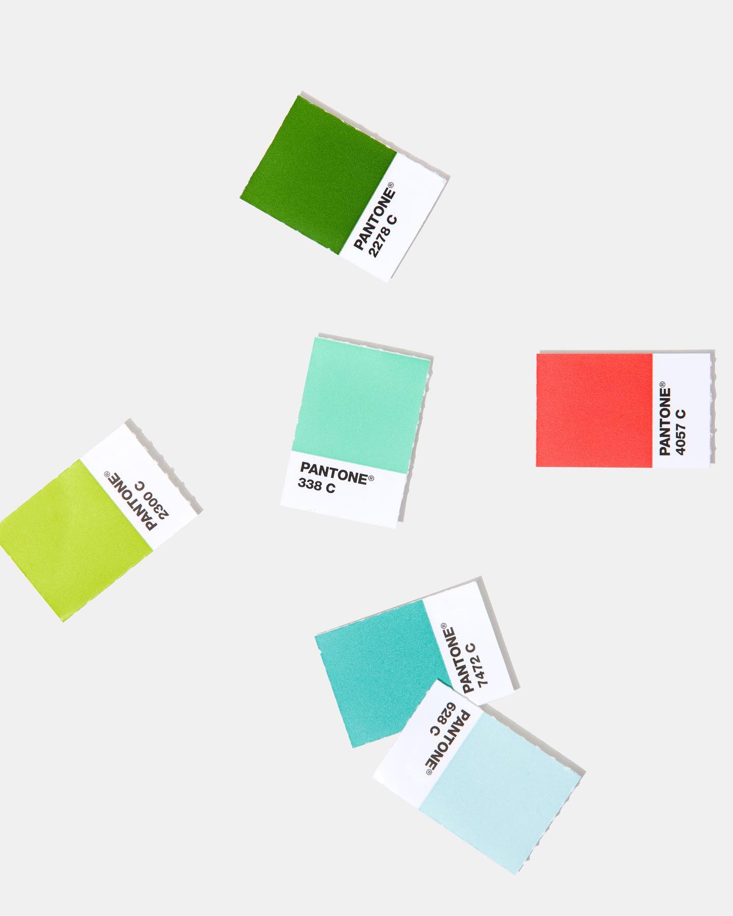 Pantone - Do you have a Pantone Solid Chip Book but want...