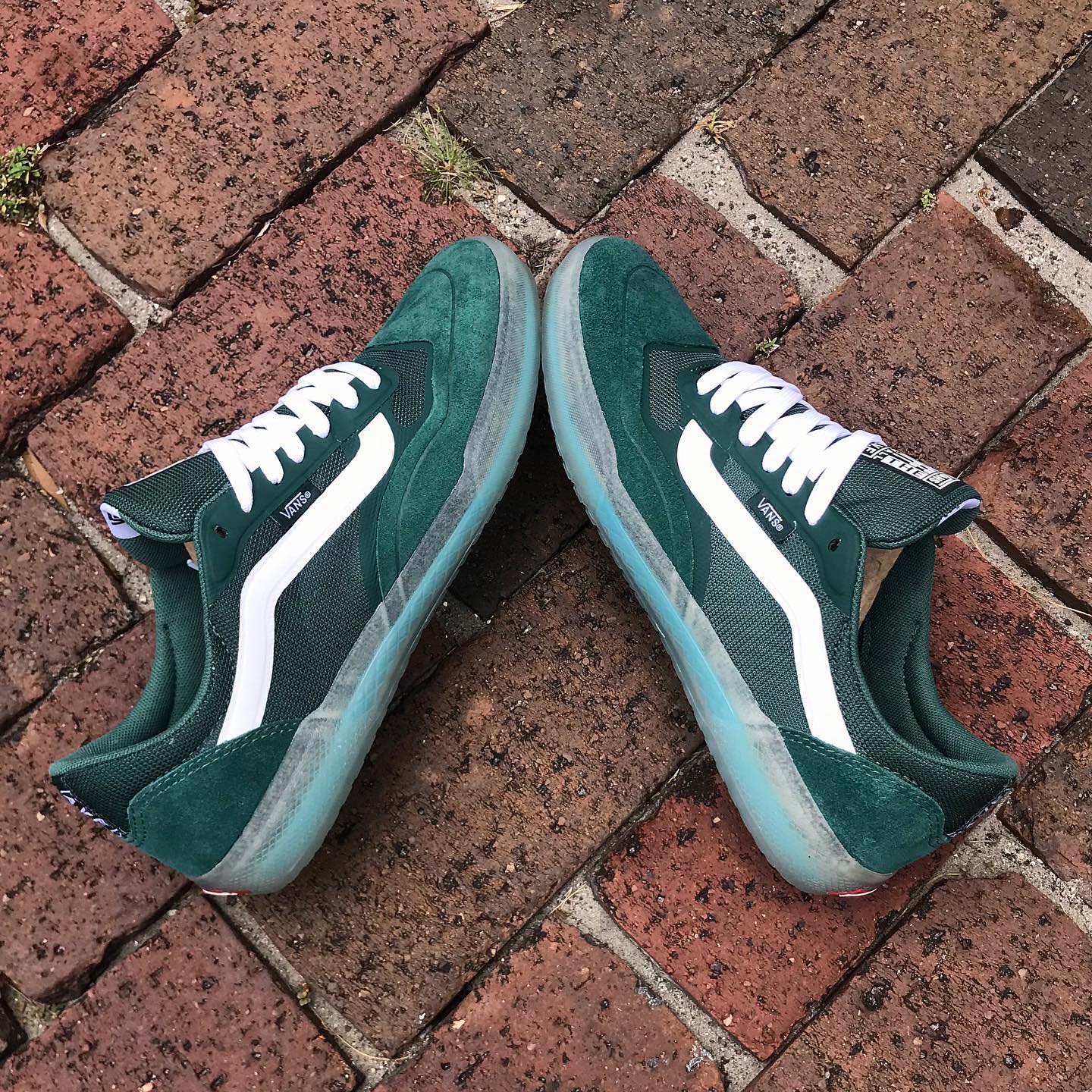 vans ave pro pine