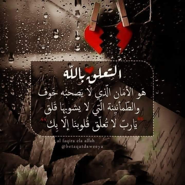 Reda Riahi رضا الرياحي