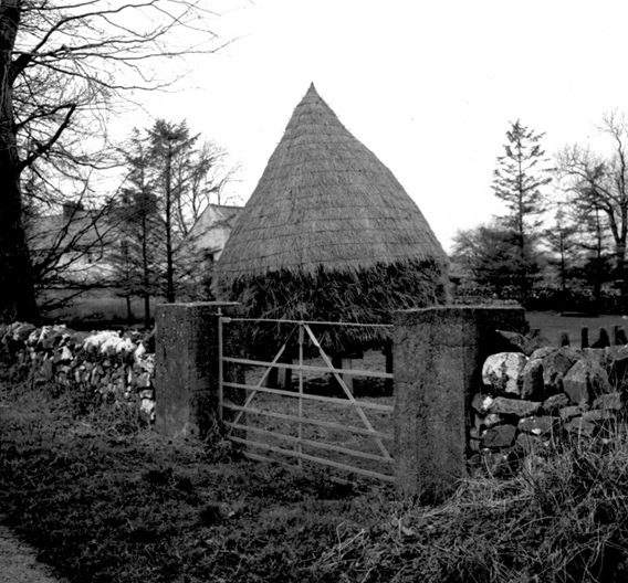 National Museum of Ireland - Corn stacks on stands on the road from ...