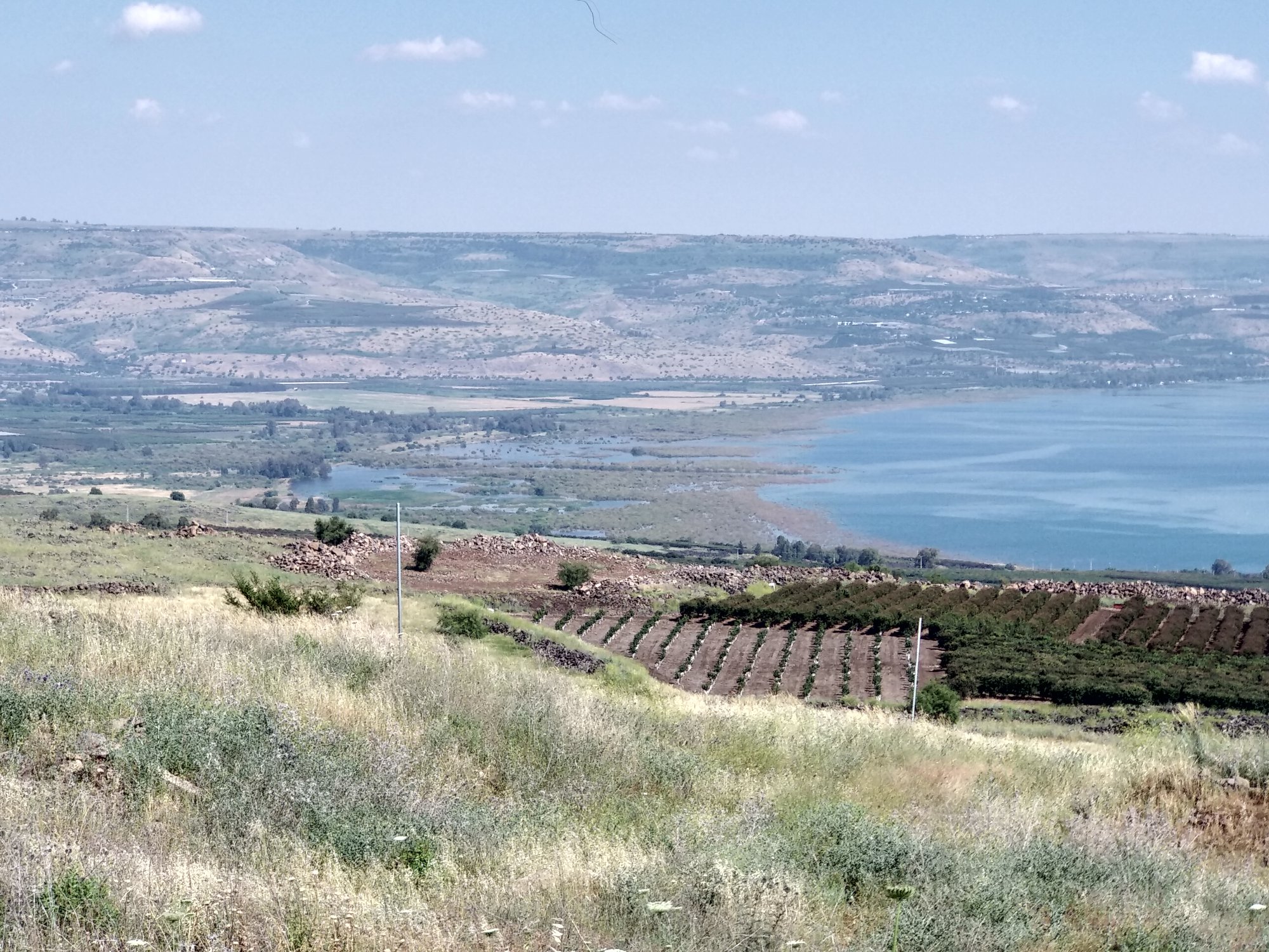 Path... - Path Finder Israel Tourism & Travel consulting