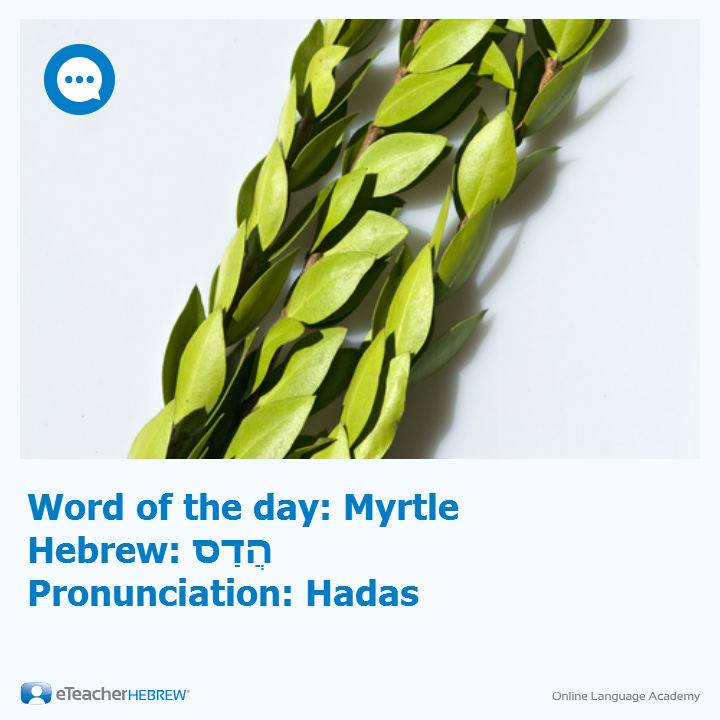 Rosen School of Hebrew - One of the special commandments of Sukkoth is ...