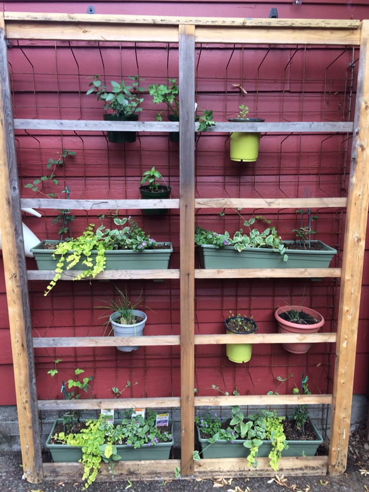 Repurpose Box Springs In Garden How To Repurpose A Box Spring Into A