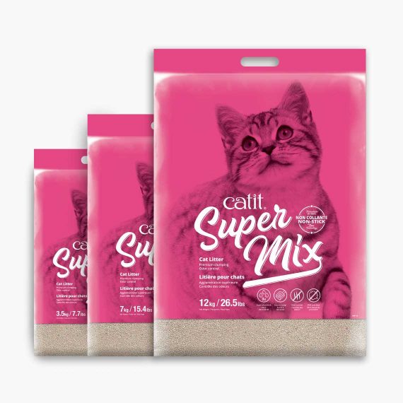 Keluarga Bila Kita Bela Kucing Dalam Rumah Bab Nak Urus Facebook
