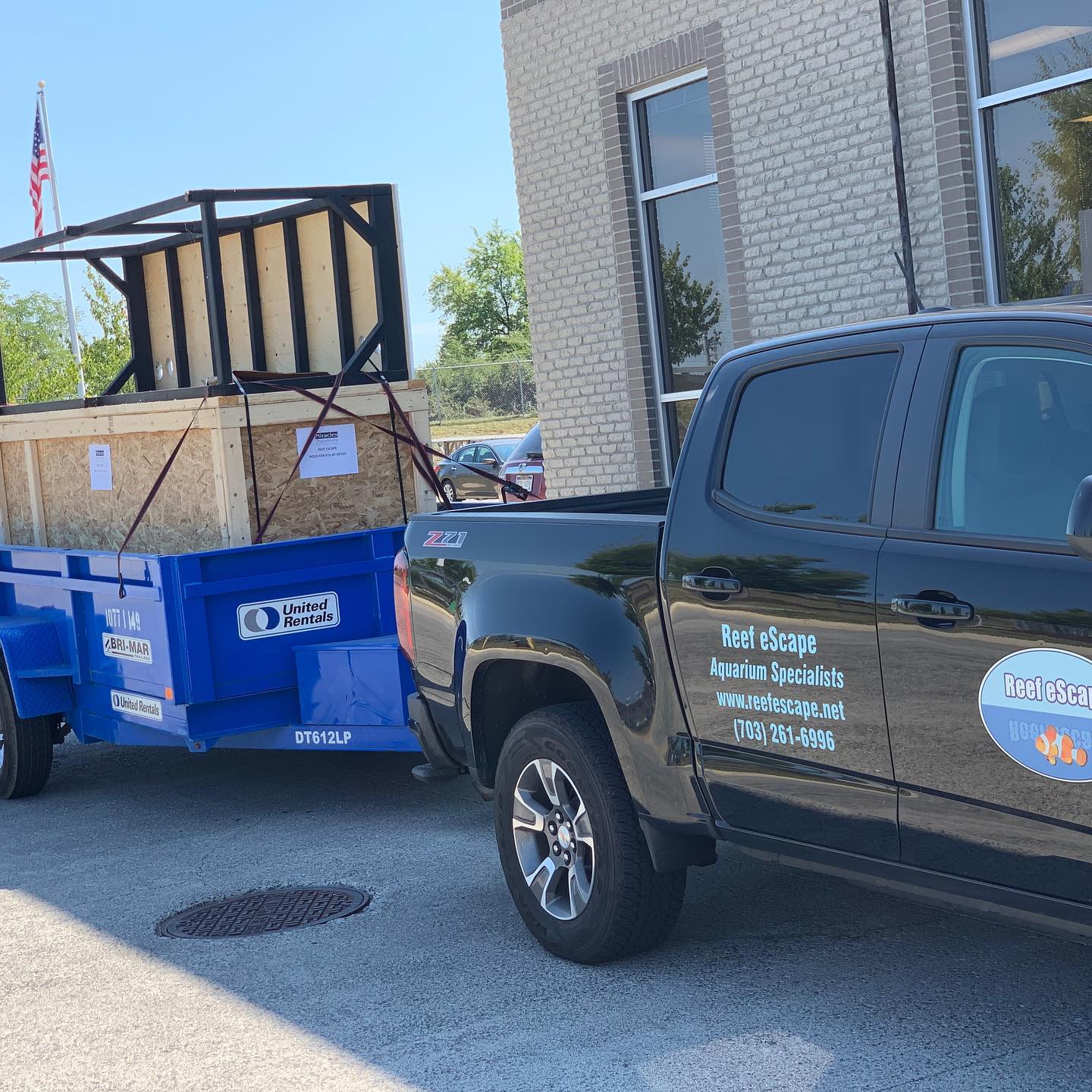 Reef eScape - 3 new fish tanks being delivered this week....