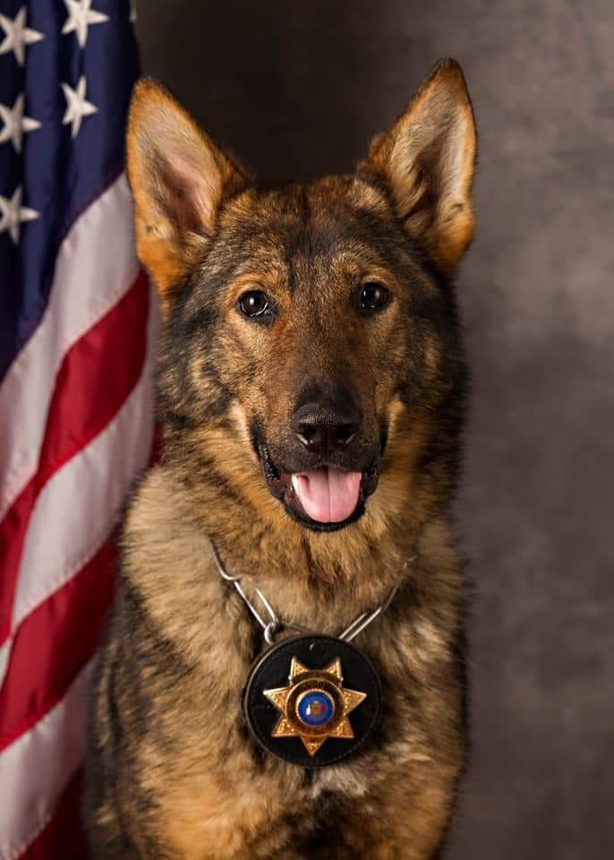 K-9 Rip ( short for... - National Police Dog Foundation | Facebook