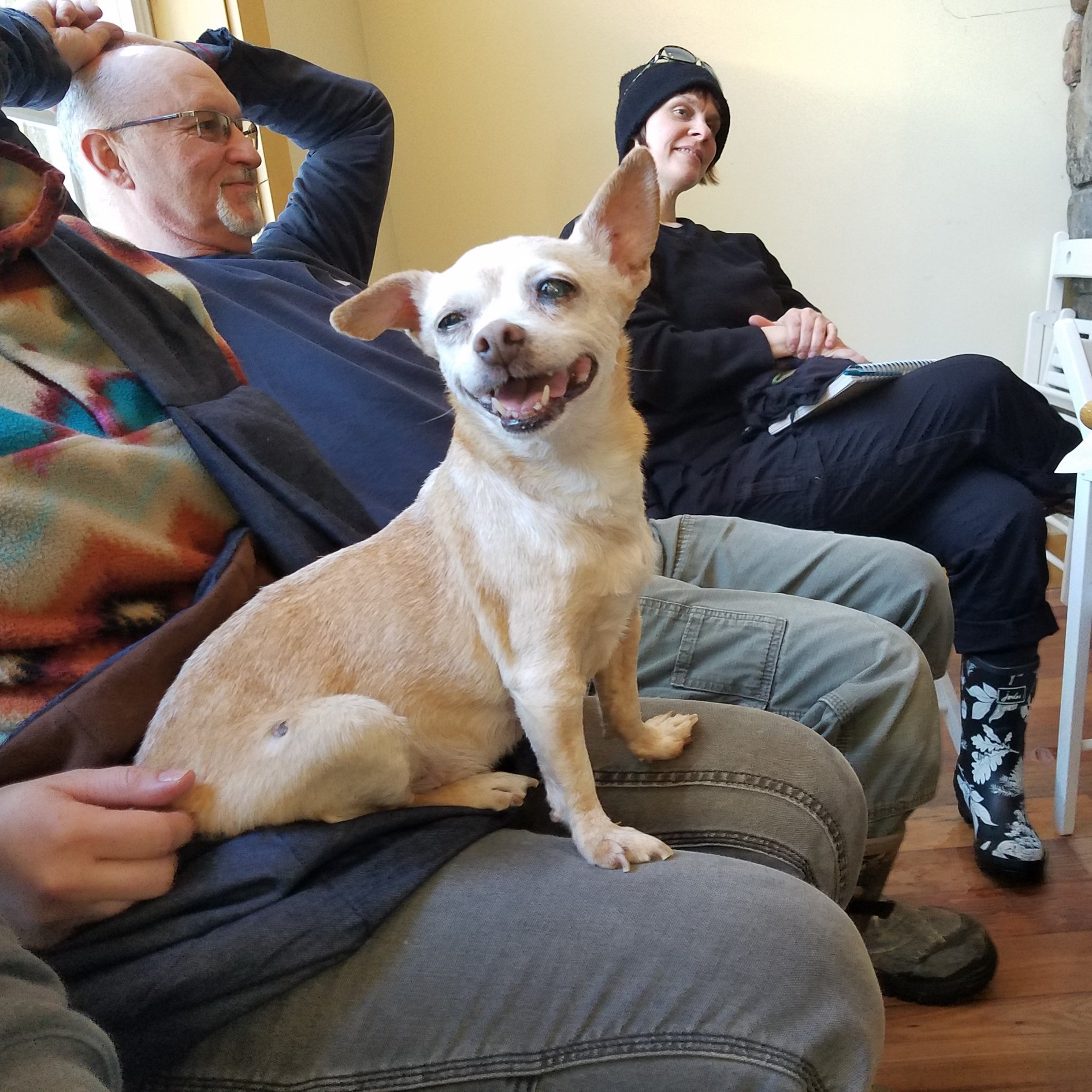 Meet Mini Roo! Mini Roo was rescued... - Pasado's Safe Haven | Facebook