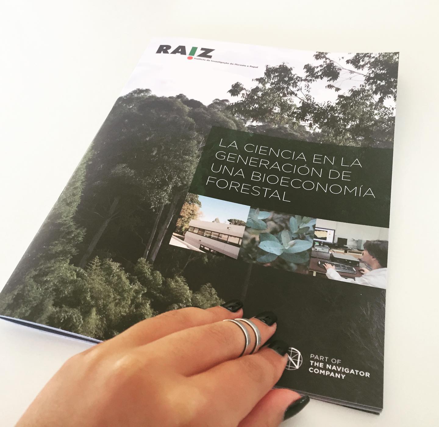 REALBASE - Brochura Institucional Raiz 🌱 Adoramos o toque... | Facebook