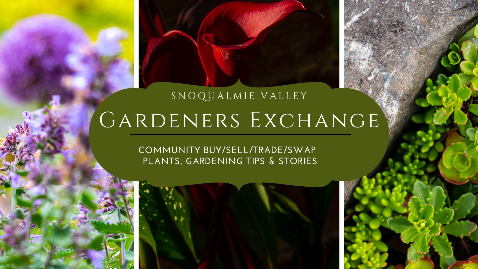 The Green Bean Exchange Vendors | Facebook