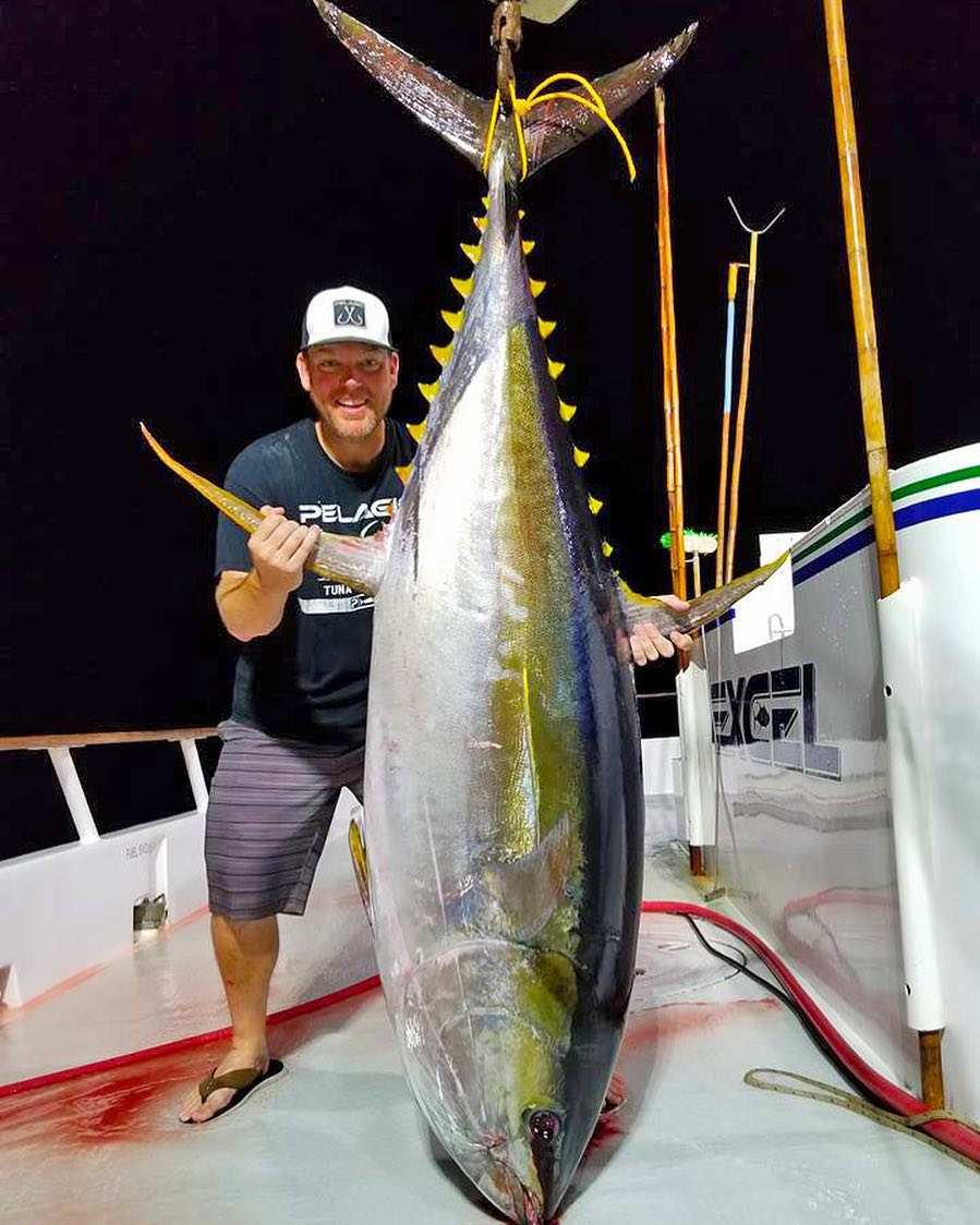 Pelagic - One of two big cow yellowfin (252 and 233 lbs) caught by