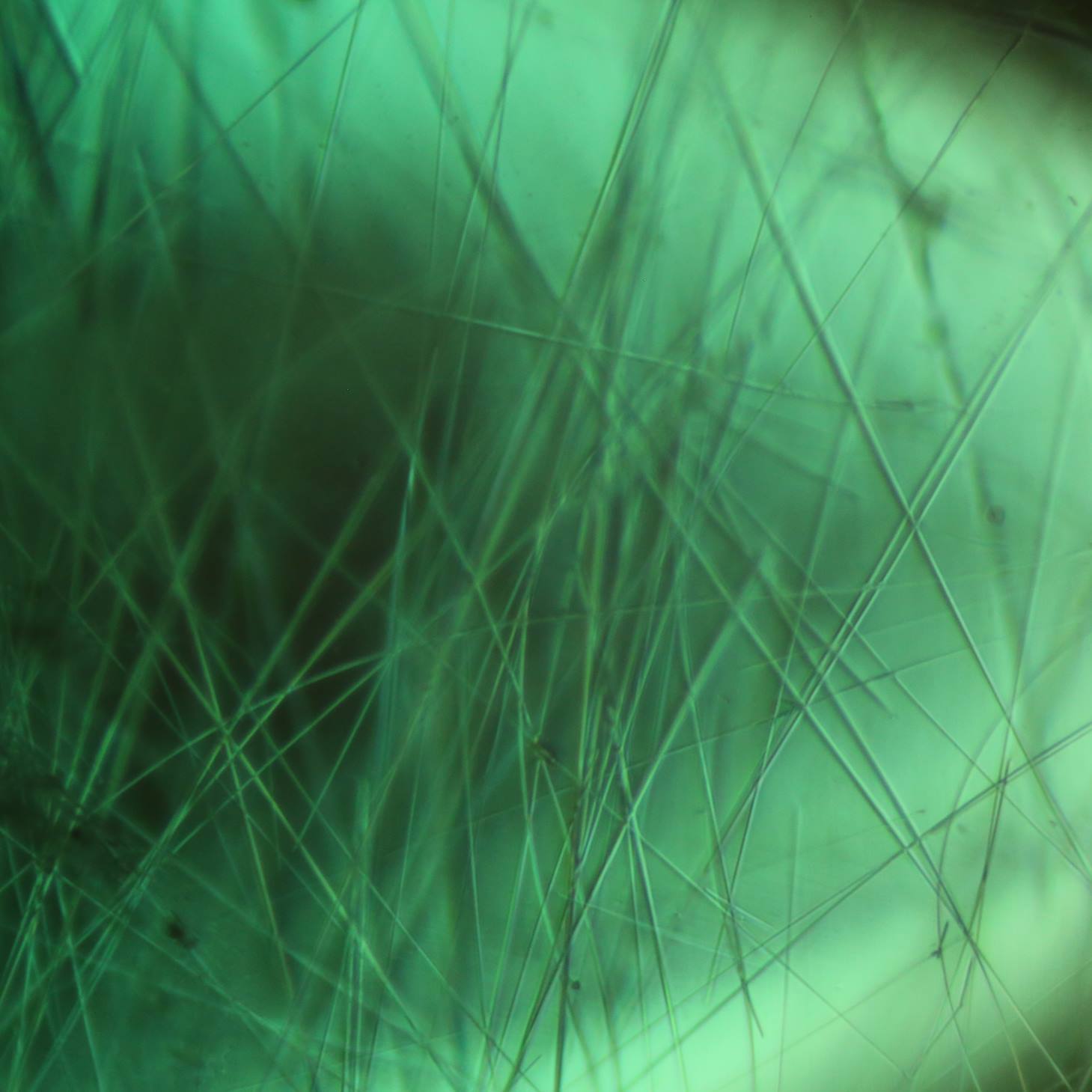 Gubelin - Inclusions of emeralds from Sandawana, Zimbabwe, are often characterized by transparent, bent amphibolite-fibres actinolite and cummingtonite and with an age of approximately 2 4 billion years, Sandawana emeralds belong to the