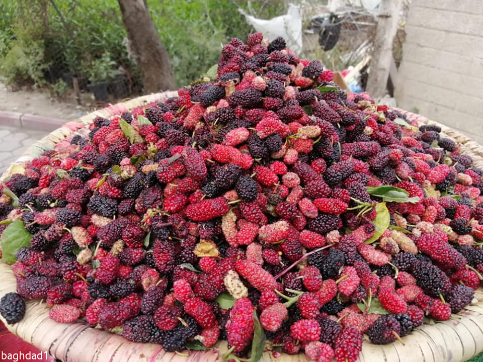 بغداد - ‎بغداد‎ added a new photo.