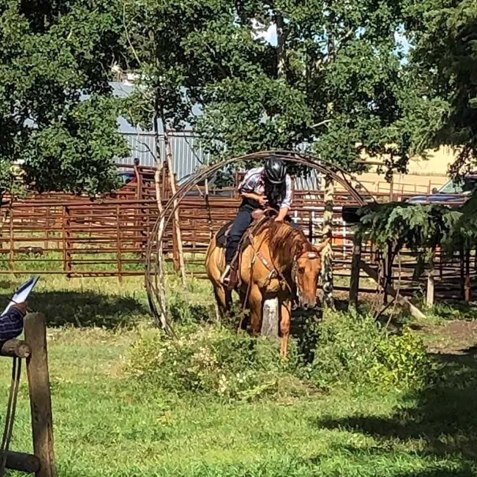 Rimbey Sleigh, Wagon and Saddle Club | Rimbey AB