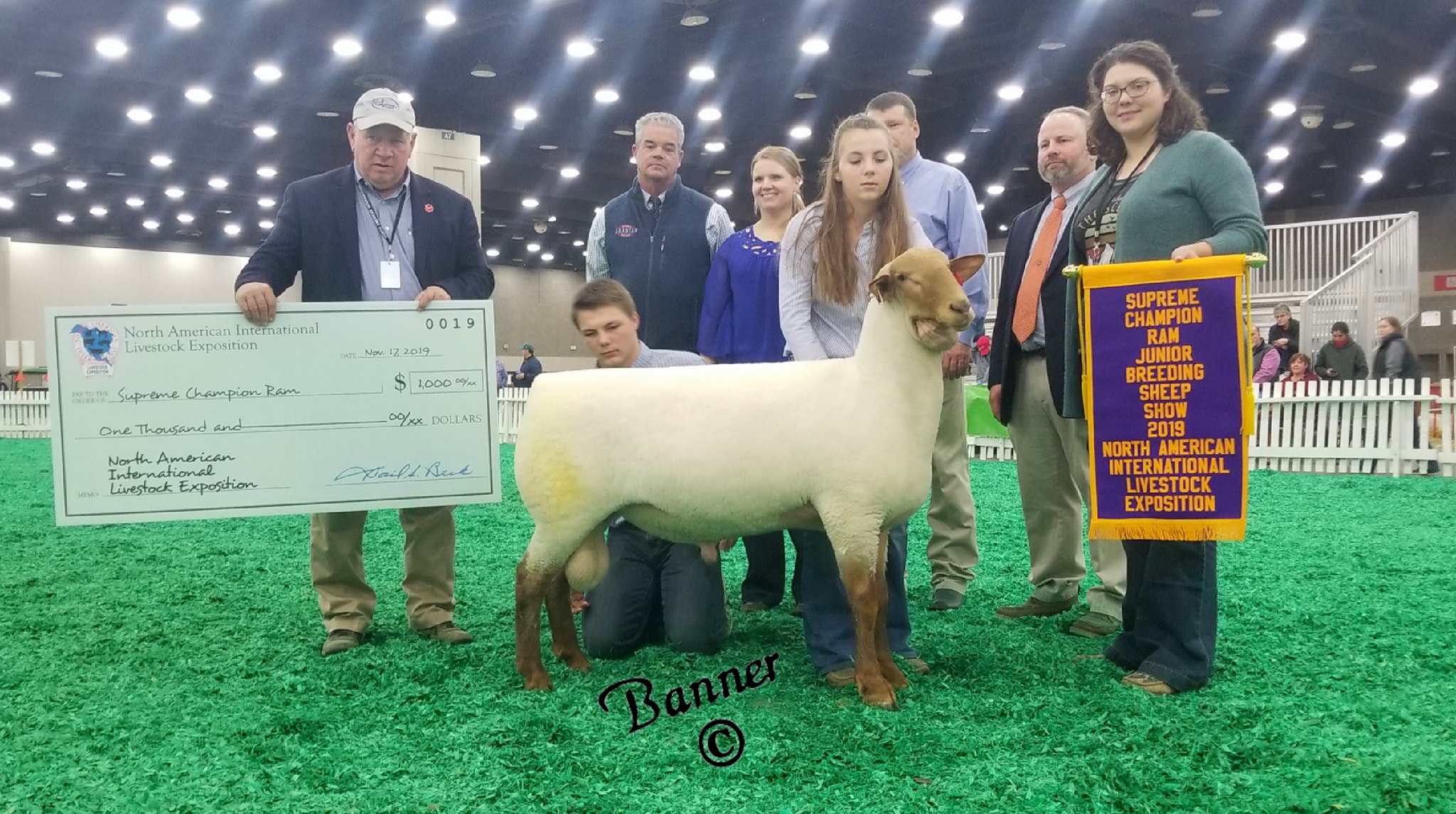 The Junior Show Supreme... - The Banner Sheep Magazine