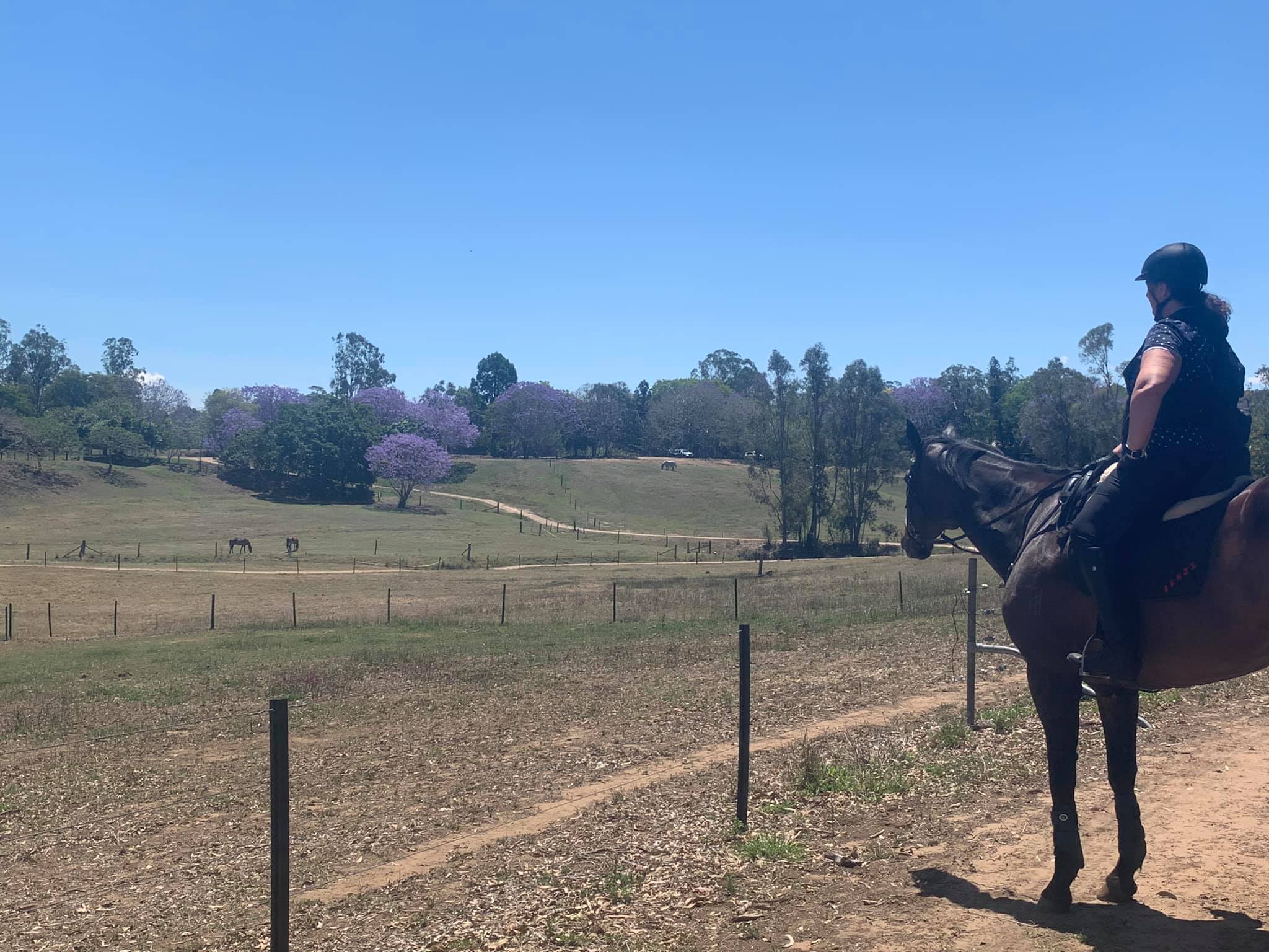 Our weekly adult lessons are... - Riverside Equestrian Centre