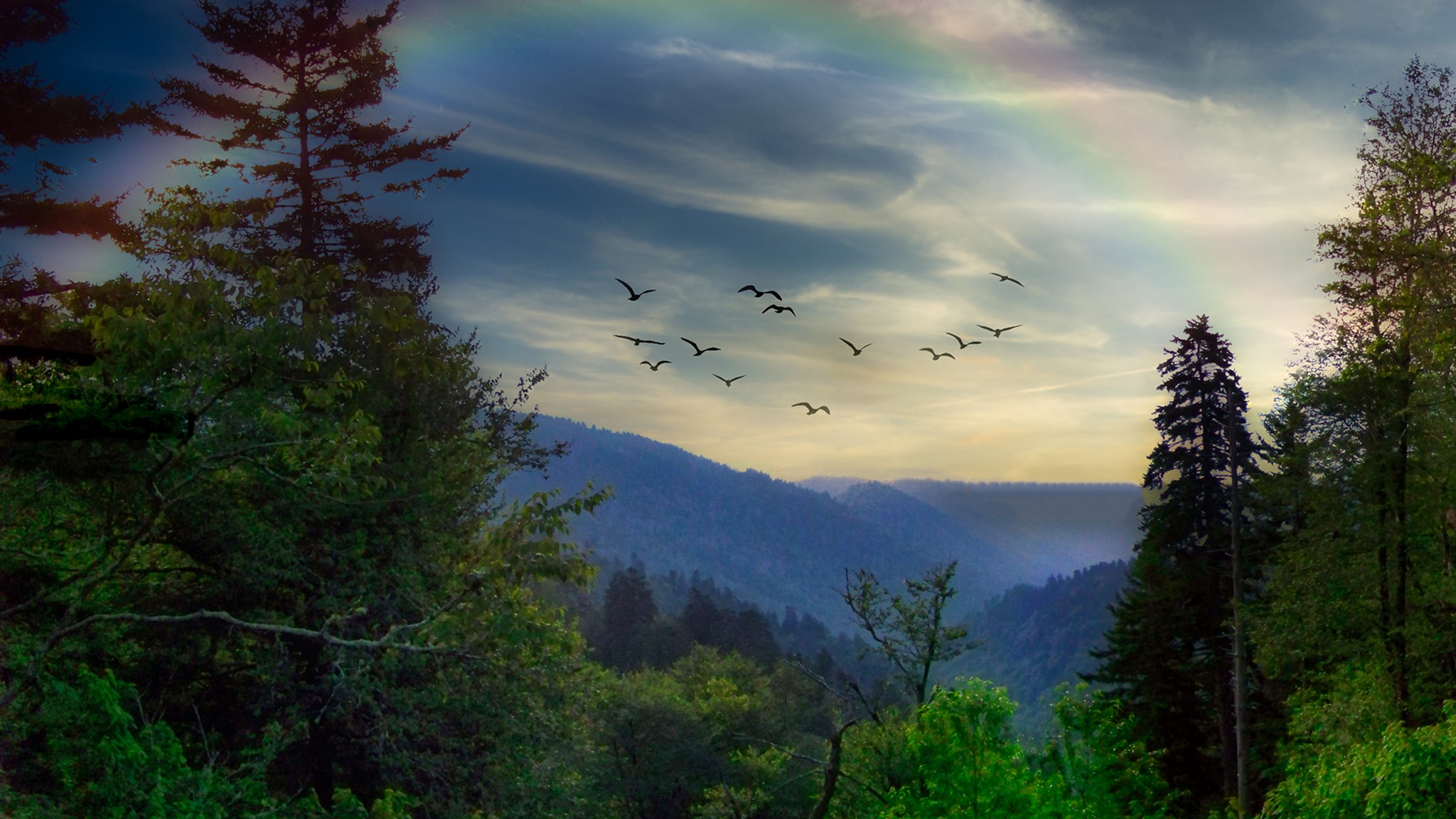 WLOS ABC 13 - A gorgeous shot from the Blue Ridge Parkway,...