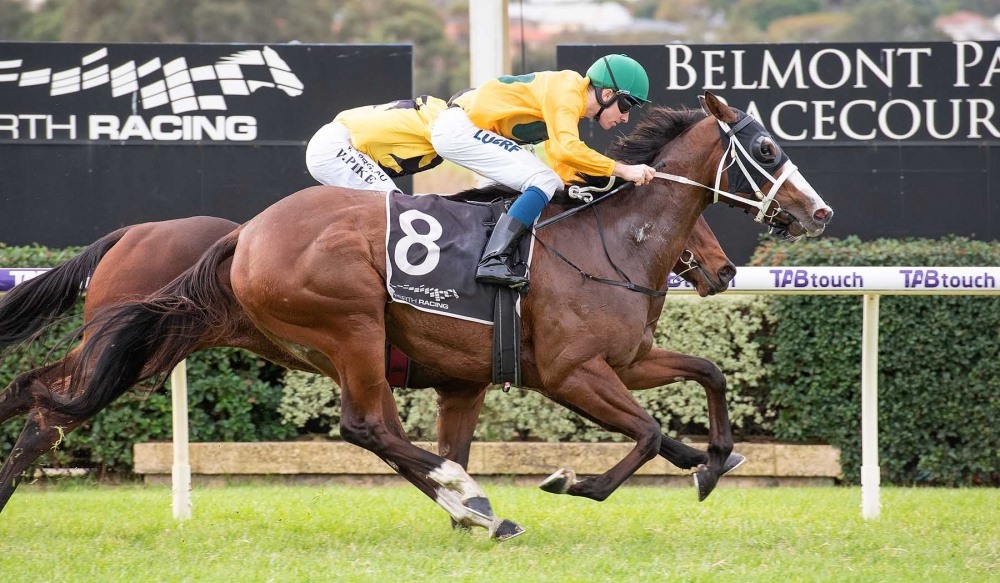Perth Racing - Perth Racing added a new photo.