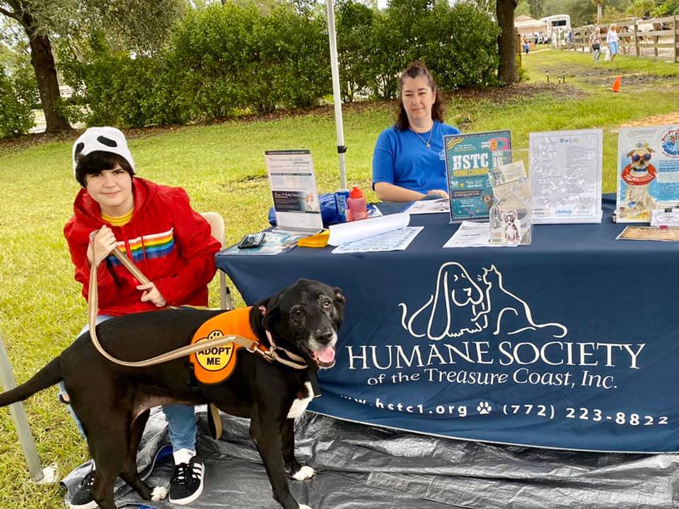 ERAF -... - ERAF - Equine Rescue and Adoption Foundation