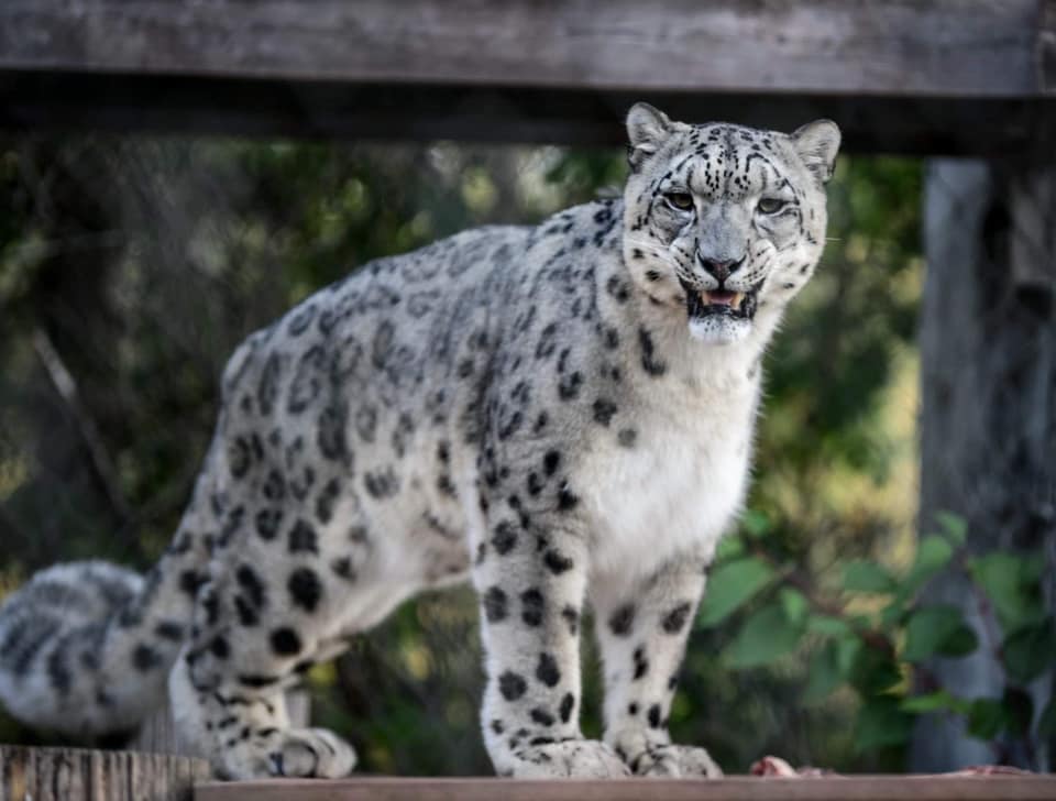 Smile 😀 Boo at the Zoo is back on... - Lake Superior Zoo