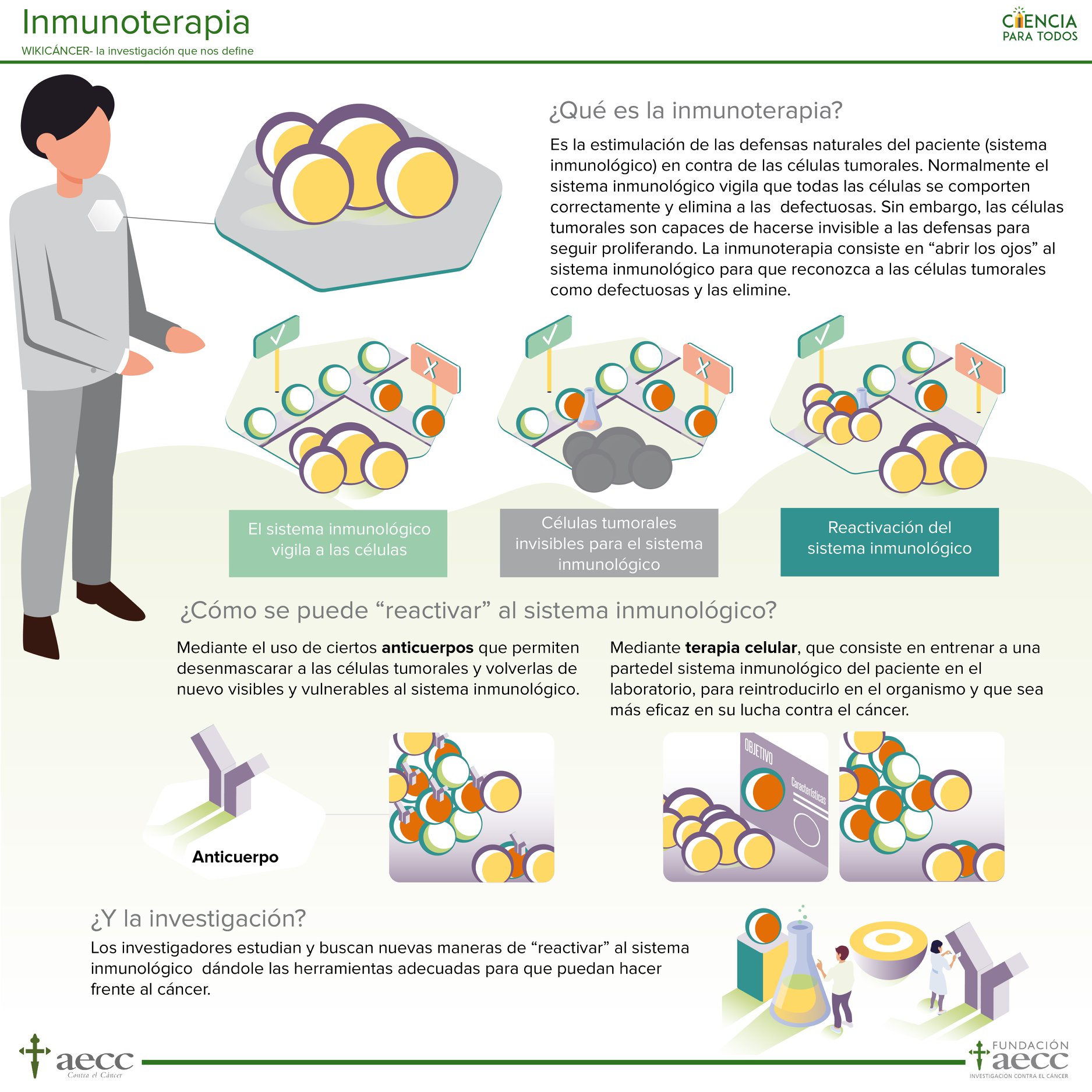 la-inmunoterapia-es-asociaci-n-espa-ola-contra-el-c-ncer