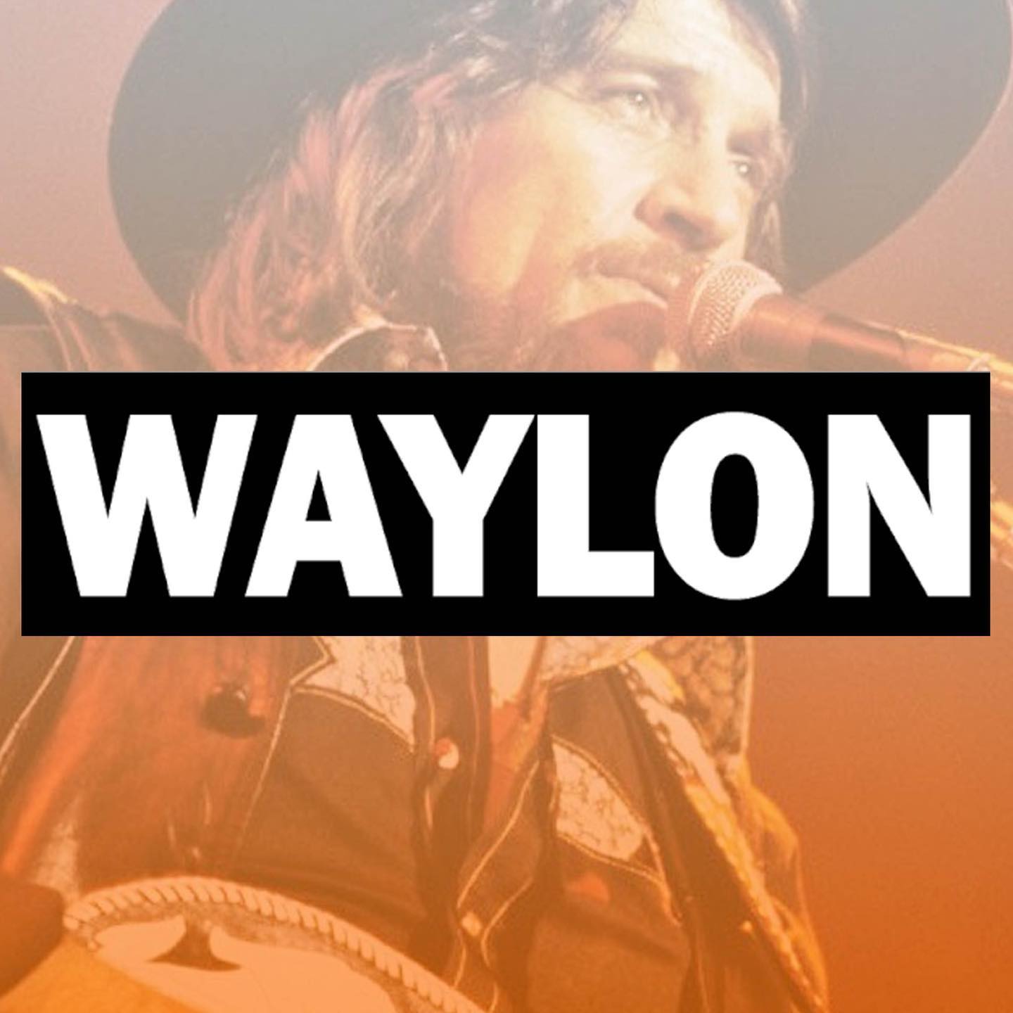 Waylon Jennings - 11.5 x 3 inch vinyl bumper sticker. What...