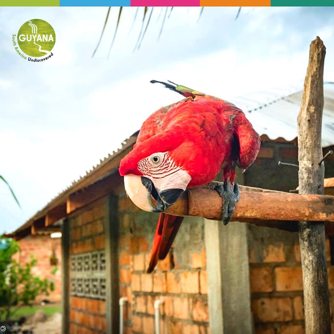 Discover - Our locals are super friendly, and will make you feel right ...