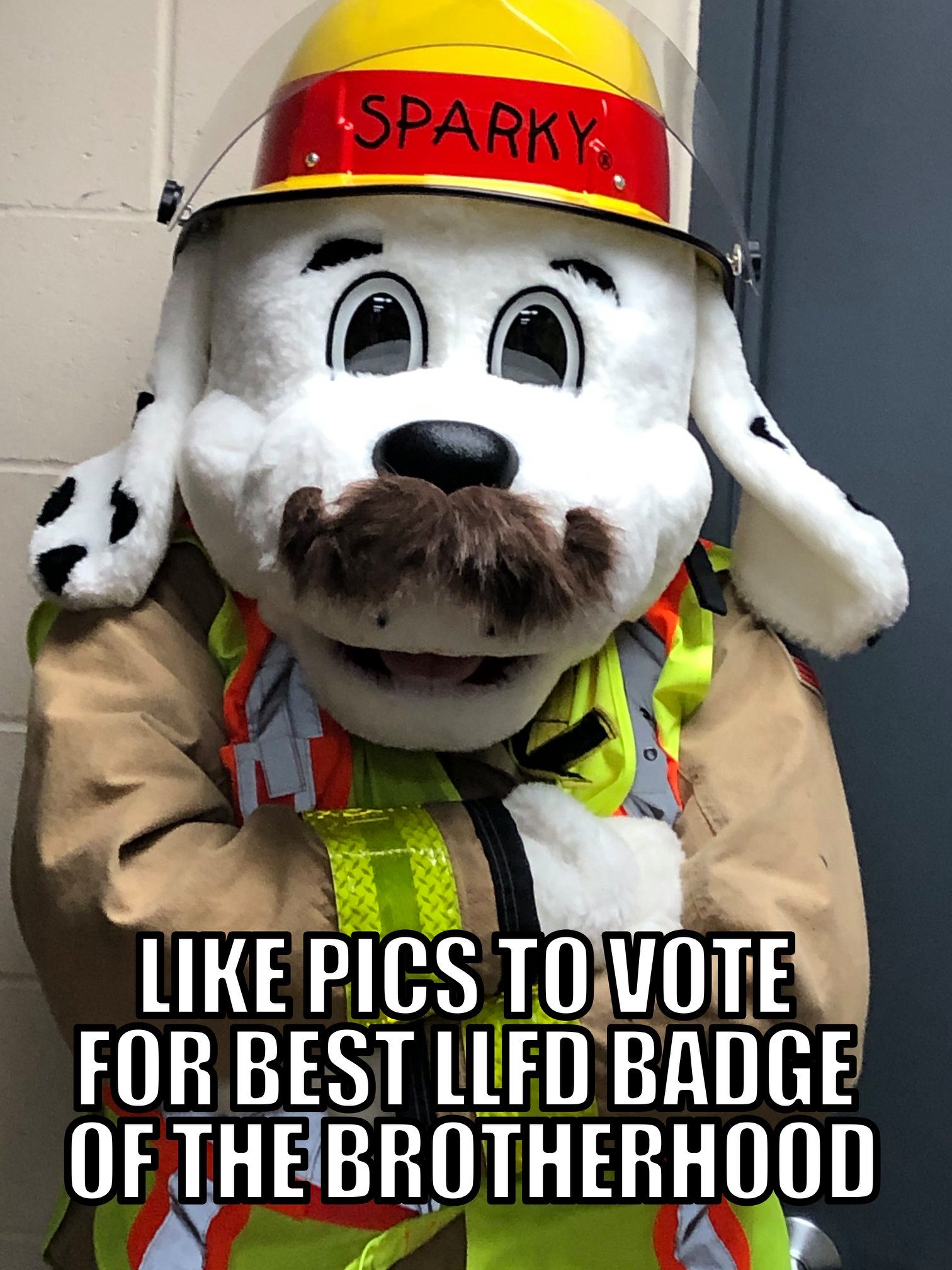 Long Lake Fire Department | Orono MN