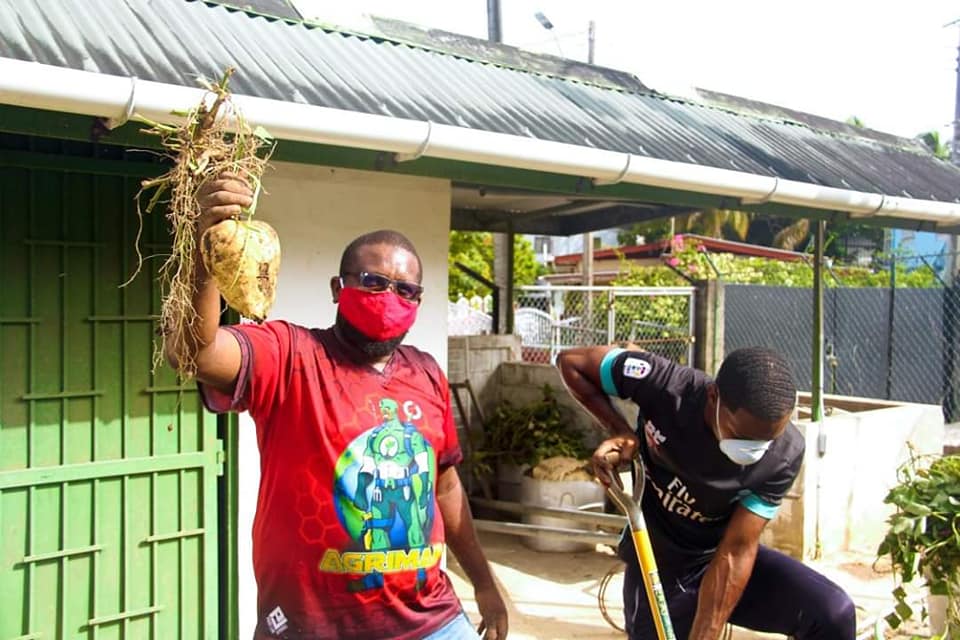 Youth Involvement in Agriculture