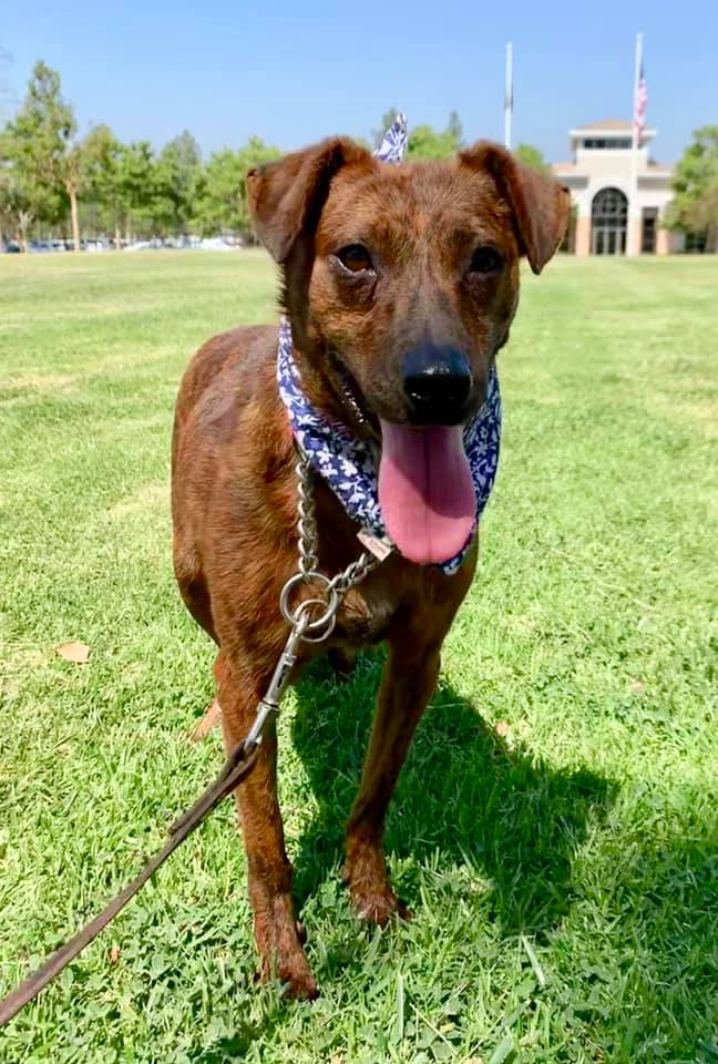 Sweet Sasha Is Waiting To Meet You!! Sasha is a sweet, shy, 30