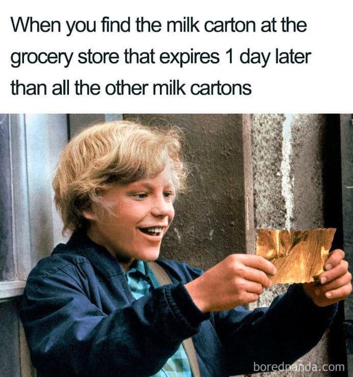 Susie Homemaker Memes