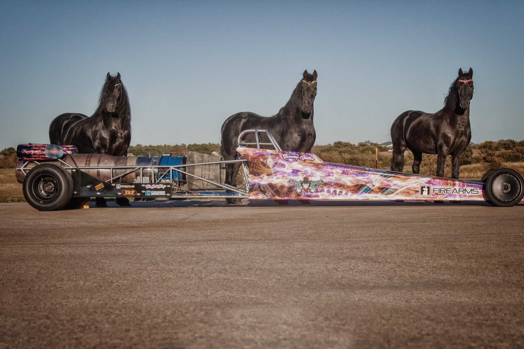 IFSHA FRIESIANS - Our members in Texas share: 