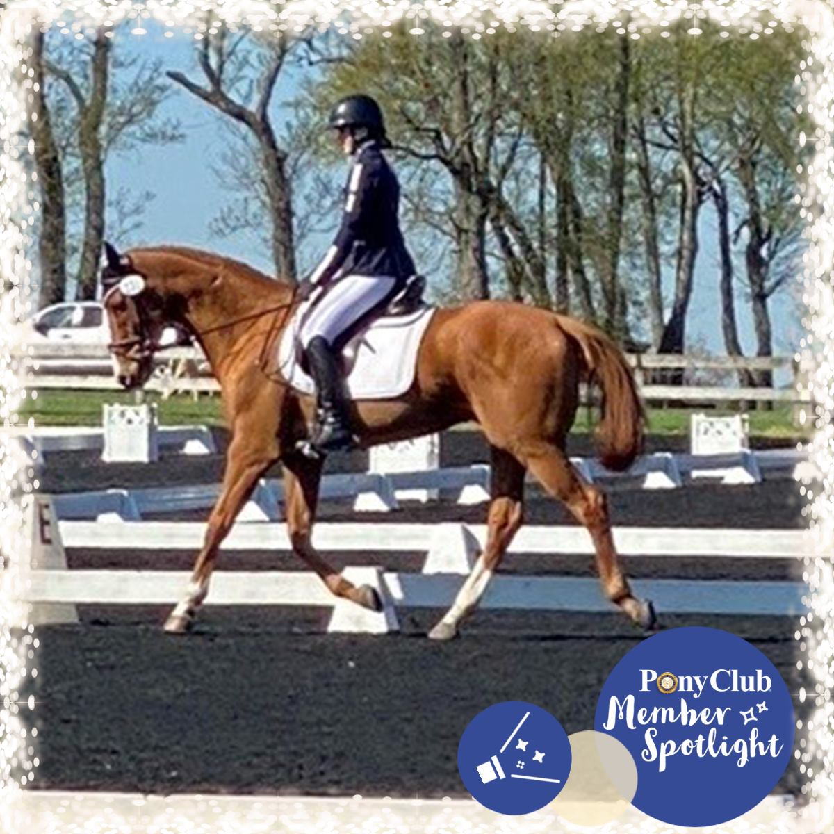 M... - The United States Pony Clubs Inc., (USPC) Official Page | Facebook