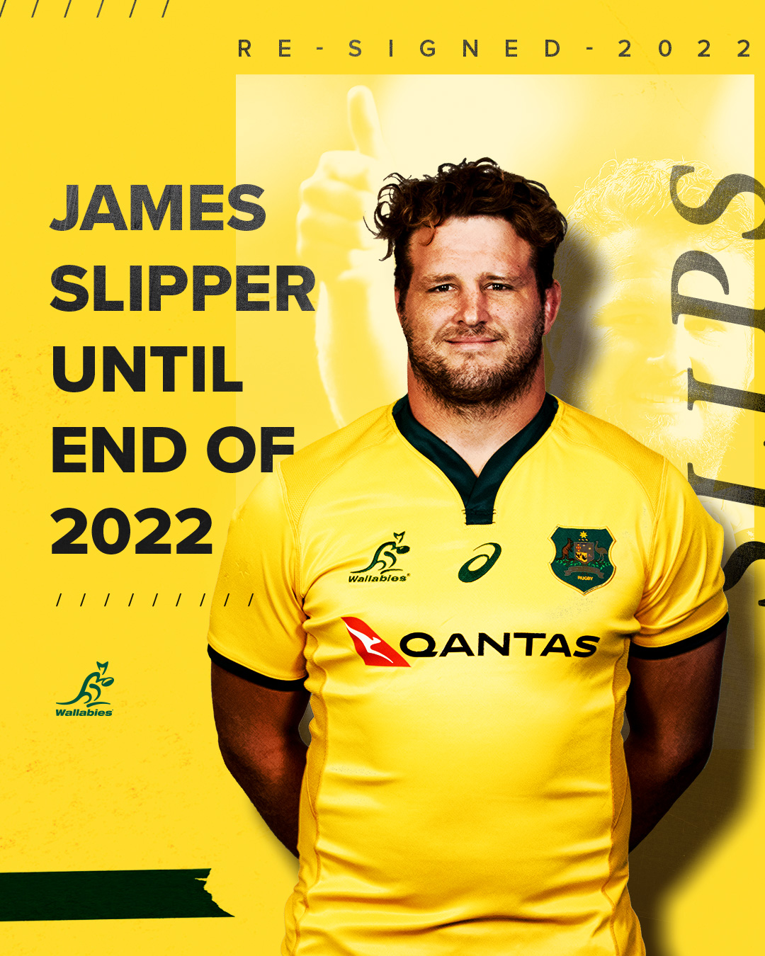 Wallabies - 96-TEST STAR RE-SIGNS | 🙌 