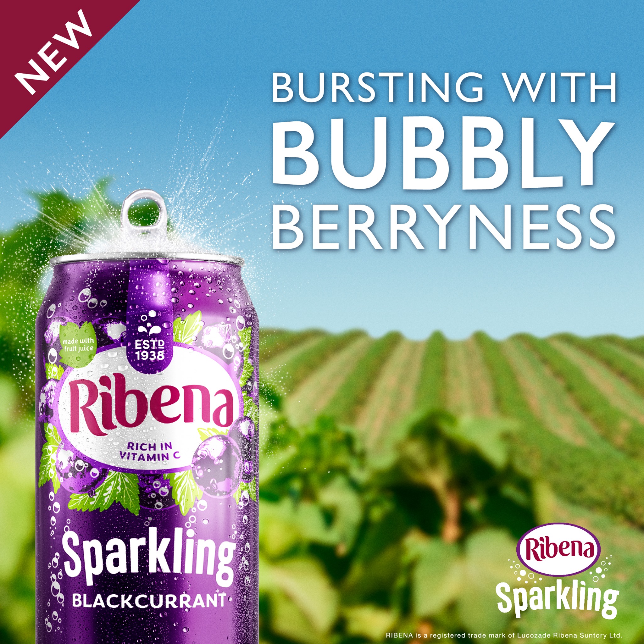 Ribena - Introducing a NEW addition to our Ribena Sparkling family ...