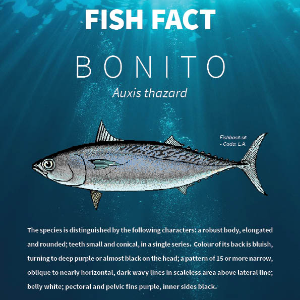 Caribbean Fisheries Training and Development Institute - FISH FACT ...