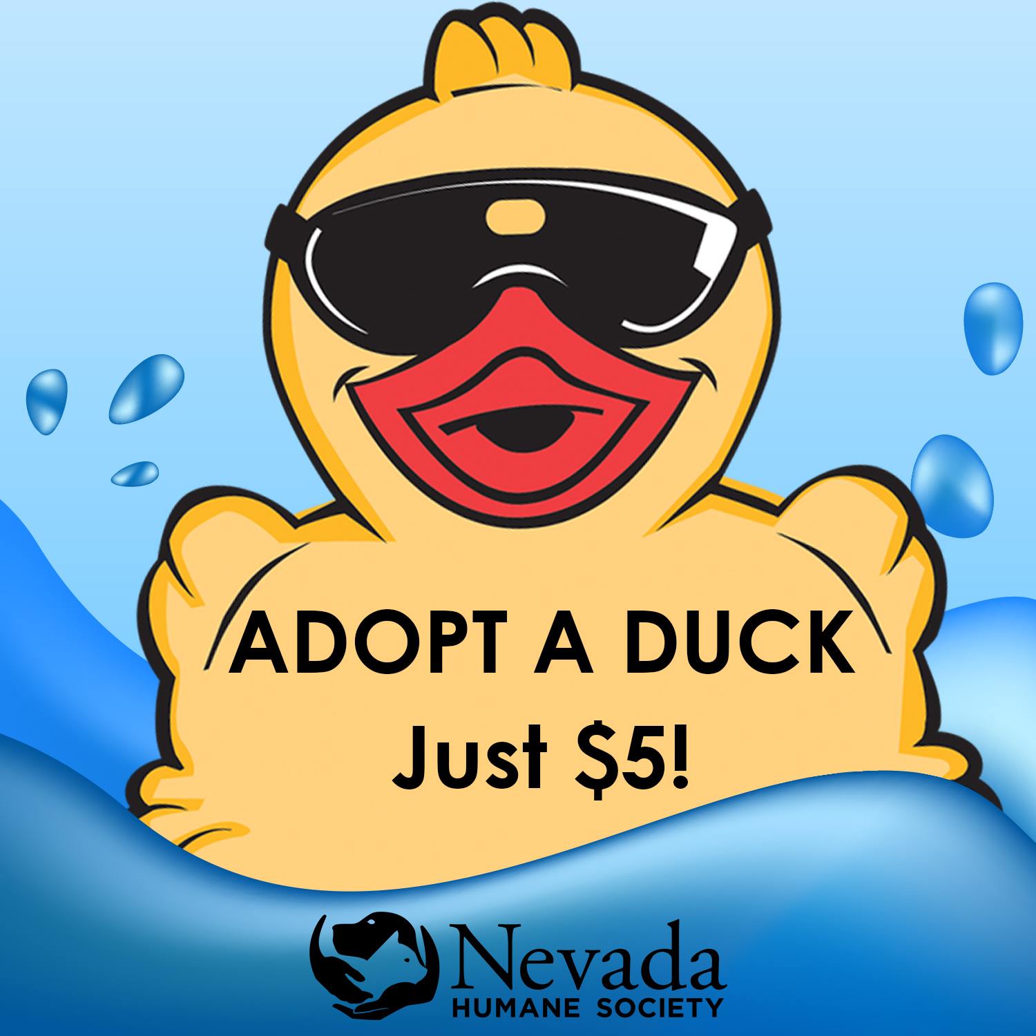 Nevada - Did you know we are selling ducks throughout the community for ...